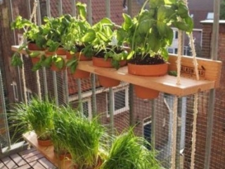 Small Garden Ideas for Balcony