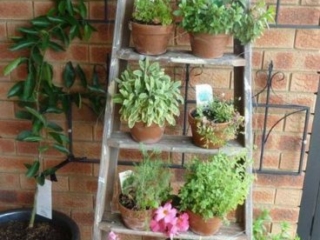 Small Garden Ideas for Balcony