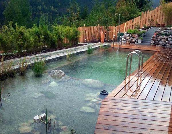 backyard natural swimming pool
